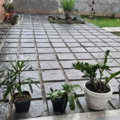IMG-20221115-WA0036