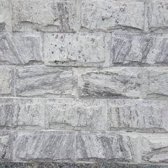 LAJINHA-CODORNA-ALMOFADADA